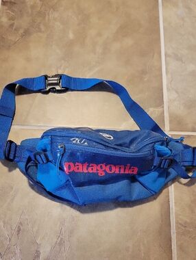 Patagonia Fanny Pqck